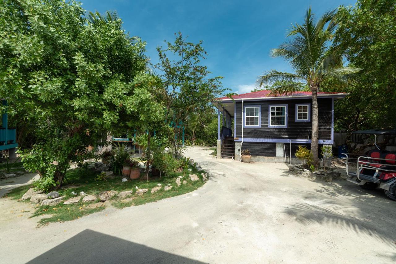 Bella Vista Resort Belize 산페드로 외부 사진
